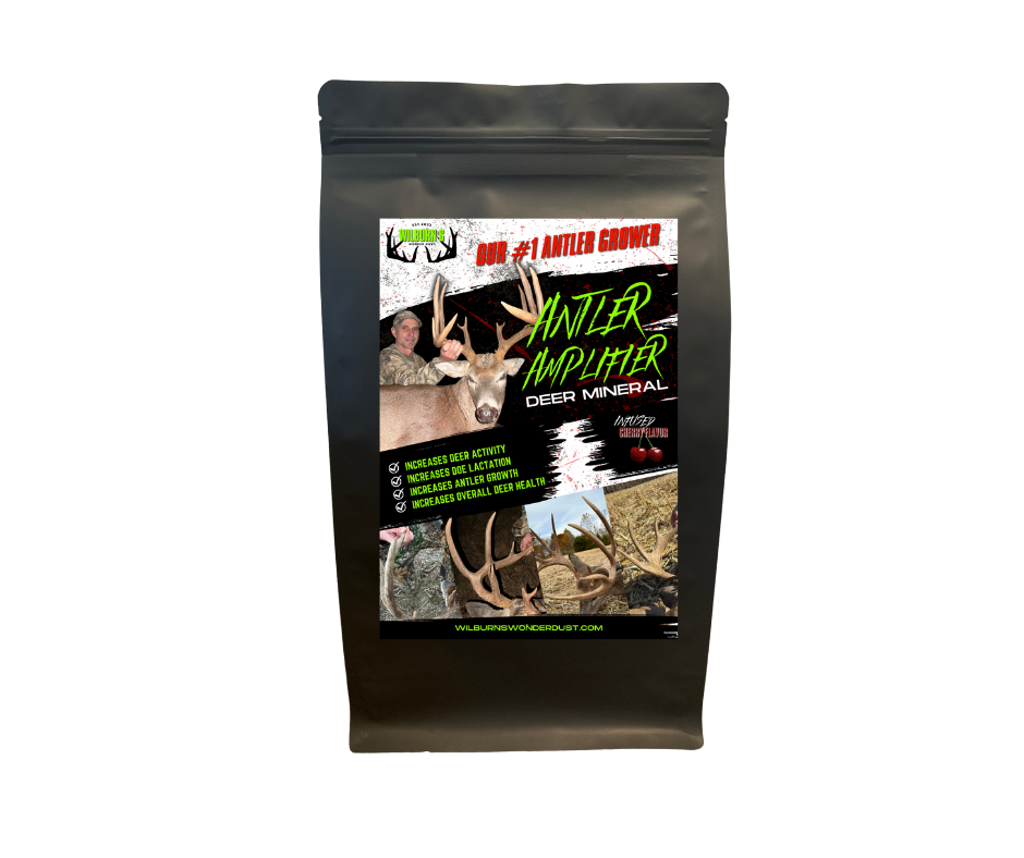 Antler Amplifier 10lb